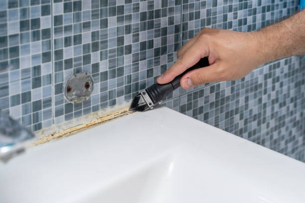 Best Emergency Mold Remediation in Sheldon, TX